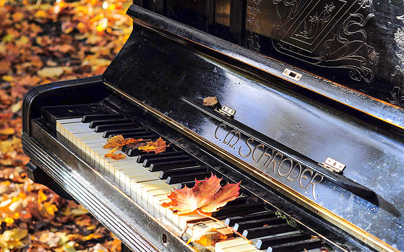Piano para Meditar y Reflexionar: Música Instrumental Sin Copyright para la Calma Interior
