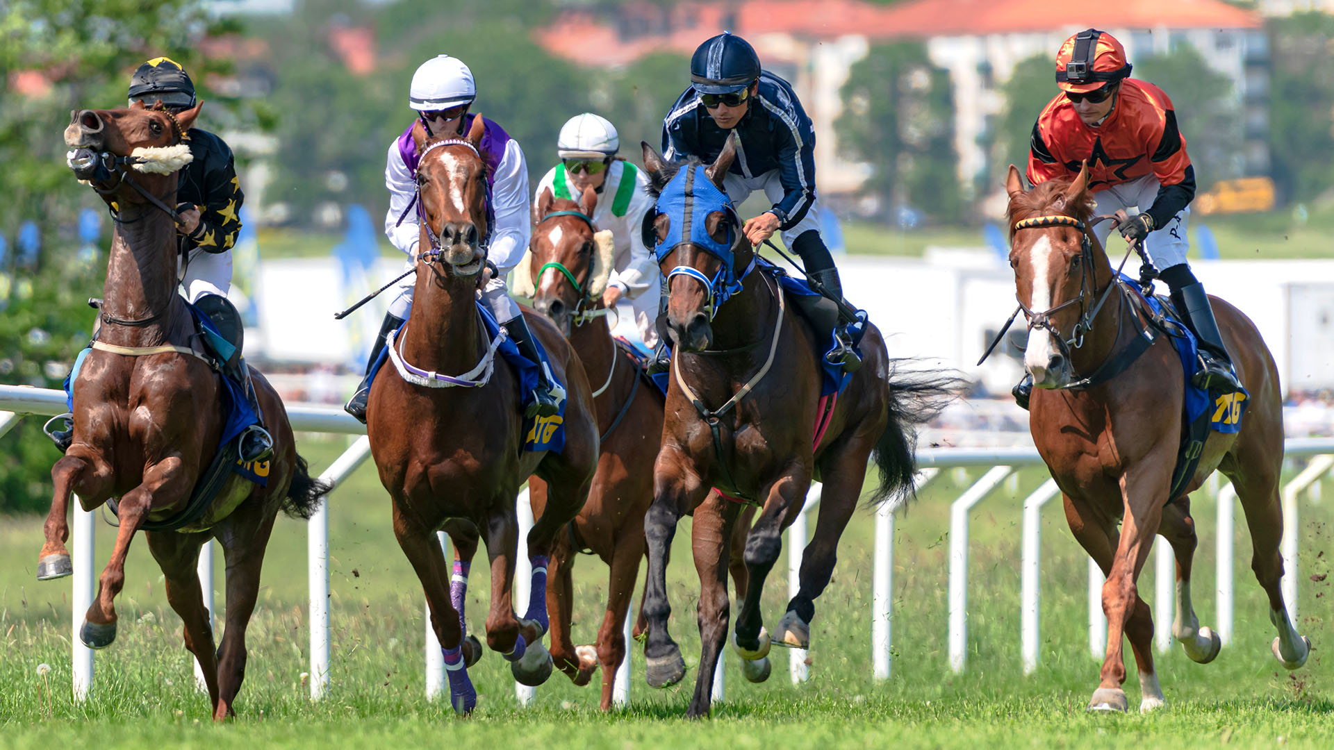 Trompeta carrera de caballos: Efectos de sonido sin Copyright