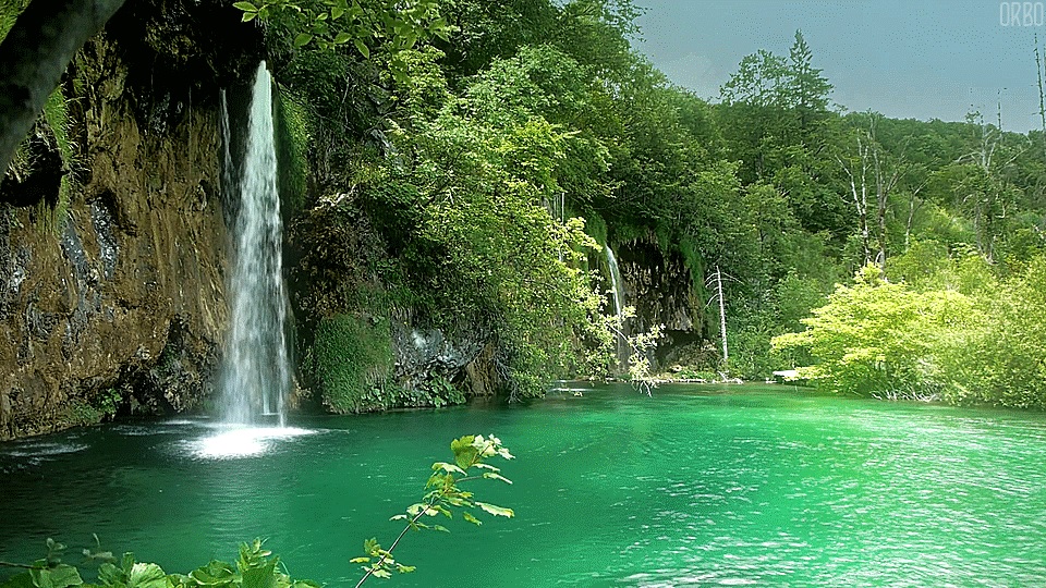 El relajante sonido de una cascada junto al canto de las aves