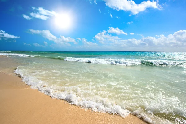 Relajante sonido de las olas golpeando la arena de la playa: Descargar gratis