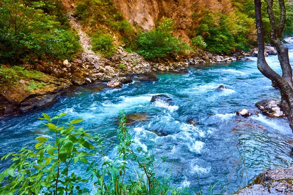 Aves cantando sobre el rio: Música de la naturaleza