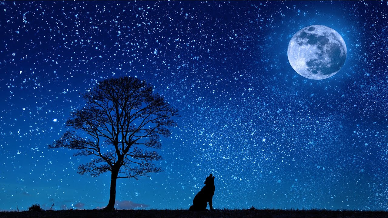 Música magia nocturna, sonidos de la noche, positiva y ambiental